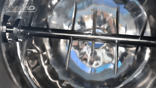 paddle type baffles